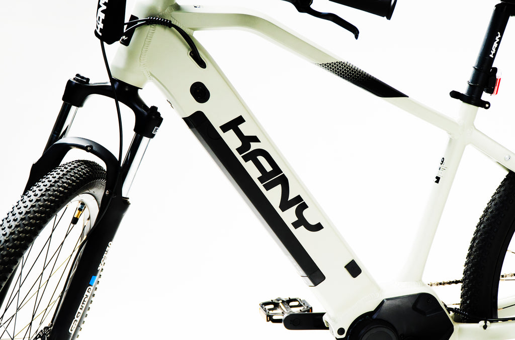 Kany E-bike EB-m290