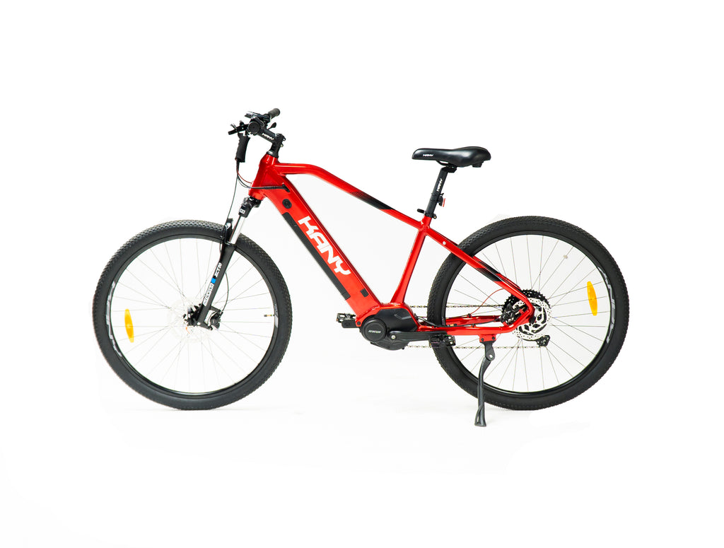Kany E-bike EB-m290