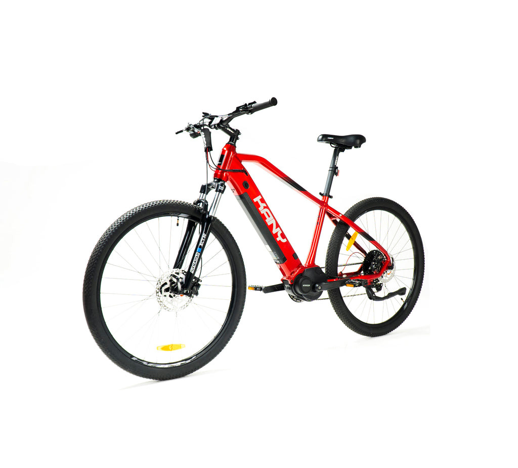 Kany E-bike EB-m290