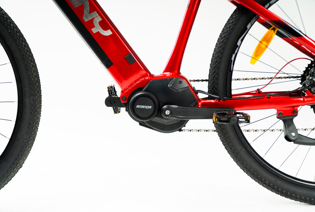 Kany E-bike EB-m290
