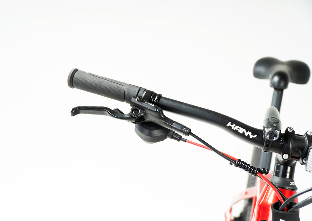 Kany E-bike EB-m290