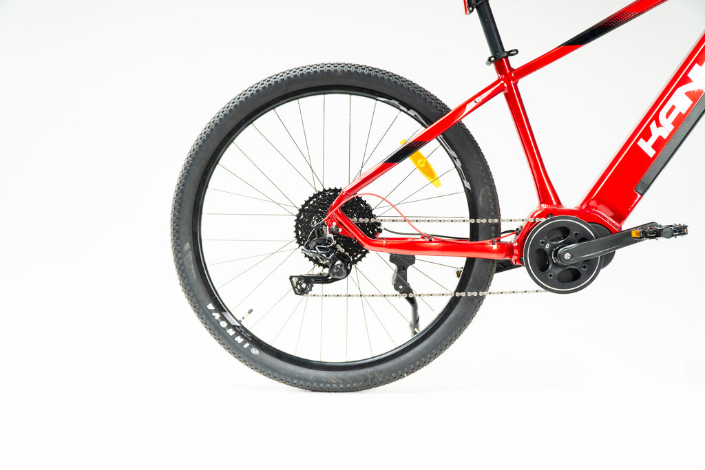 Kany E-bike EB-m290